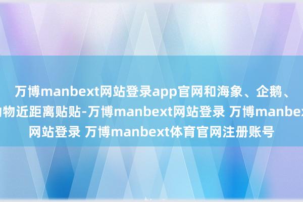 万博manbext网站登录app官网和海象、企鹅、水豚、树懒等数万动物近距离贴贴-万博manbext网站登录 万博manbext体育官网注册账号