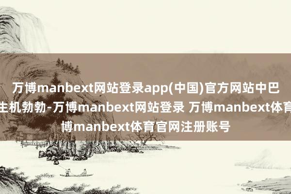 万博manbext网站登录app(中国)官方网站中巴经济走廊确立生机勃勃-万博manbext网站登录 万博manbext体育官网注册账号