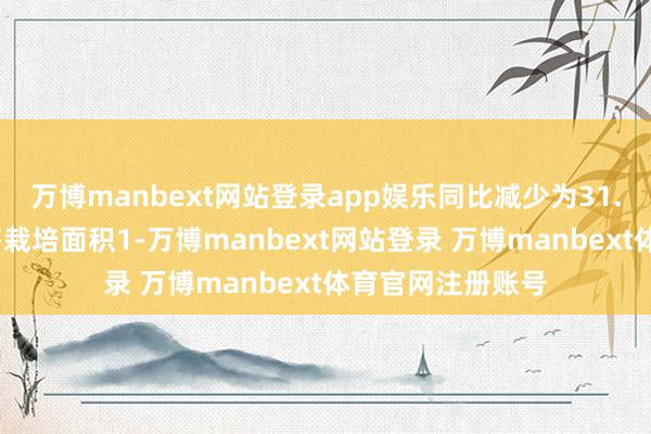 万博manbext网站登录app娱乐同比减少为31.1%;总左券销售栽培面积1-万博manbext网站登录 万博manbext体育官网注册账号